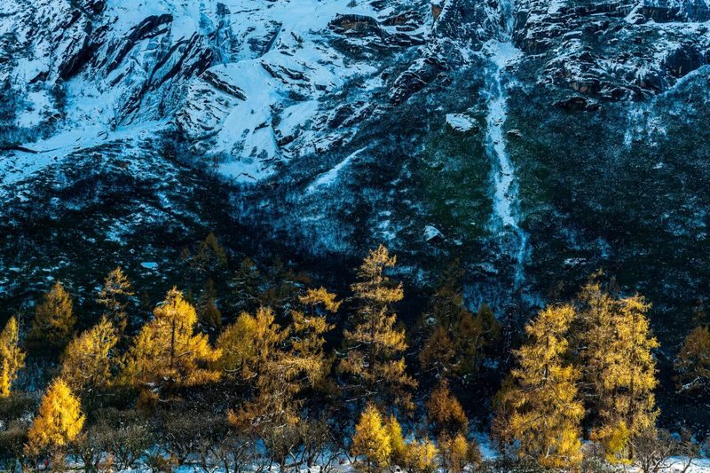 Chengdu Bipenggou Full-Day Mountain Tour with Hiking - Entering a high-altitude world