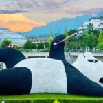 Chengdu Dujiangyan Irrigation System Full-Day Small Group Tour (Inc. Nanqiao Bridge Night Visit) - A full day from Chengdu, with pickup
