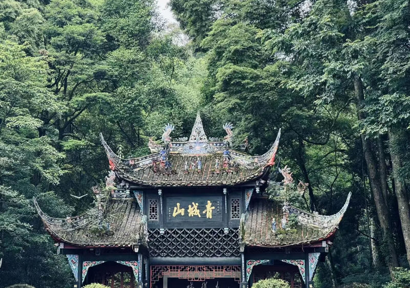 Chengdu Dujiangyan & Mount Qingcheng Day Tour (including natural scenery) - What makes Qingcheng feel different