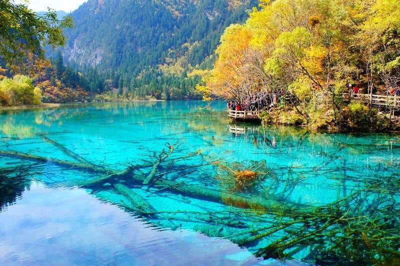 Chengdu Jiuzhaigou High-Speed Rail Round Trip One-Day Tour (Optional English Guide) - Winter views are beautiful, but not guaranteed