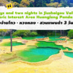 Chengdu, Jiuzhaigou, Huanglong, Panda Garden 3 Days 2 Nights - Day one: pandas, Diexi Haizi and a long ride north