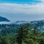 Chengdu Mount Emei & Leshan Giant Buddha 2-Day Tour - Mount Emei and the Golden Summit choice