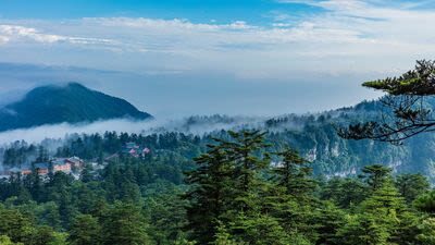 Chengdu Mount Emei & Leshan Giant Buddha 2-Day Tour - Mount Emei and the Golden Summit choice