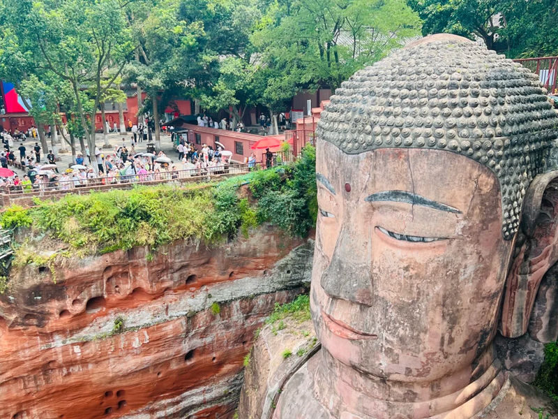 Chengdu Panda Base & Leshan Giant Buddha Day Tour - Starting the day among pandas