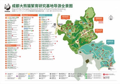 Chengdu Panda Base + Sanxingdui Museum/Dujiangyan/Leshan Giant Buddha/Mount Qingcheng One-Day Tour - Meet the pandas before the crowds build