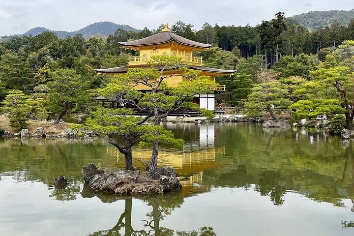 Cherry Blossom Festival - 13 days by On The Go Tours: Tour from Tokyo - Tokyo’s gardens, shrine and famous crossing