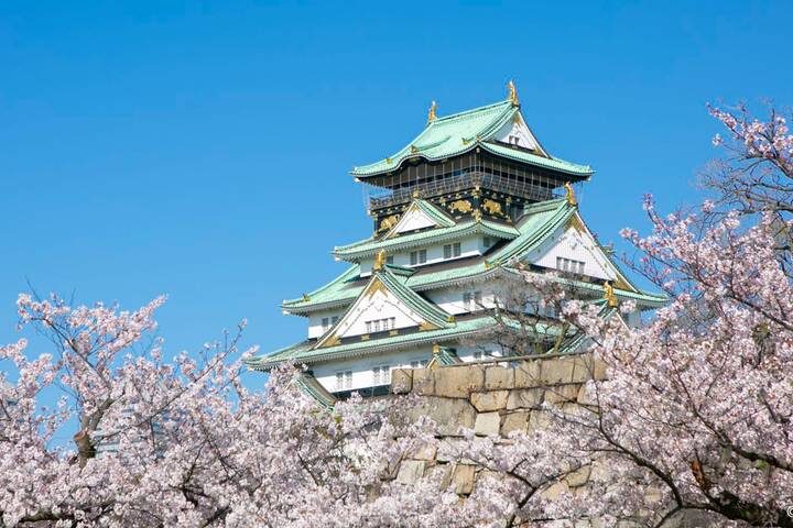 Cherry Blossoms of Japan Tour (Tailor-Made Private) - 14 Days by Odynovo - Tokyo’s shrines, gardens, and river views