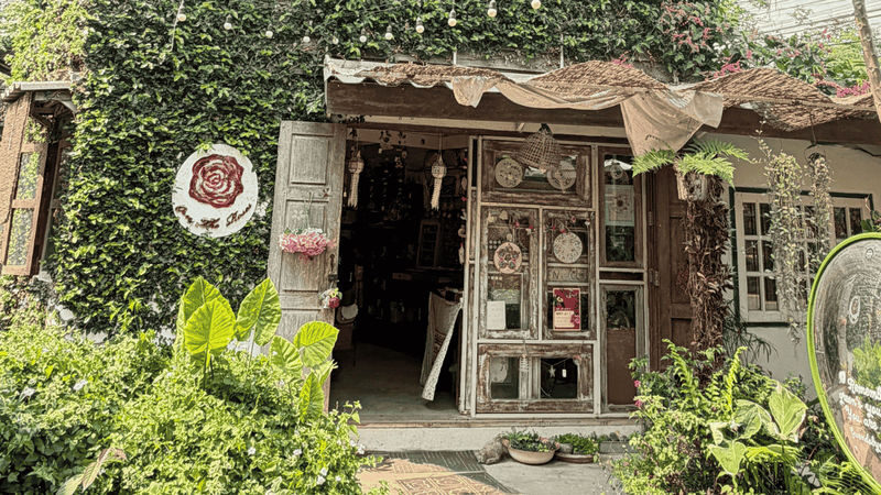 Chiang Mai Afternoon & Night Safari Full-Day Tour - Make the afternoon tea stop count