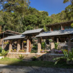 Chiang Mai: Coffee Process & Tasting - From Cherry to Cup - Start with a tasting, not a lecture