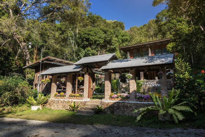 Chiang Mai: Coffee Process & Tasting - From Cherry to Cup - Start with a tasting, not a lecture