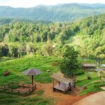 Chiang Mai Farm with Elephant Experience & Market Tour - Muang Mai Market: a quick taste of local trade