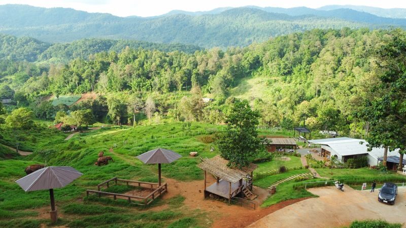 Chiang Mai Farm with Elephant Experience & Market Tour - Muang Mai Market: a quick taste of local trade