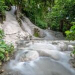 Chiang Mai Half-Day Giant Rain Tree & Sticky Waterfall Tour - Bua Tong turns a waterfall visit into an activity