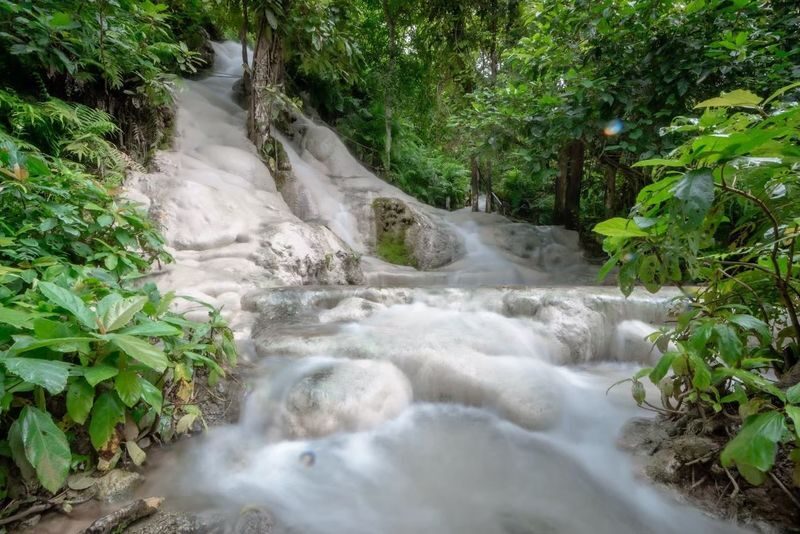 Chiang Mai Half-Day Giant Rain Tree & Sticky Waterfall Tour - Bua Tong turns a waterfall visit into an activity
