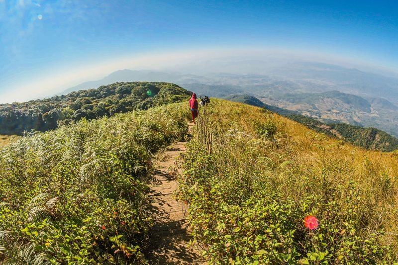 Chiang Mai Kew Mae Pan Nature Trail & Doi Inthanon Full-Day Tour - Kew Mae Pan: a mountain walk, not a summit trek