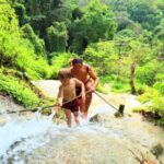 Chiang Mai Sticky Waterfall, Elephant Cafe, and POOPOOPAPER Park - How the half-day schedule works