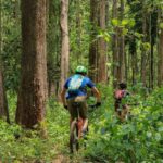 Chiang Mai Sticky Waterfalls Bike Tour by Trailhead - Bua Tong’s Sticky Waterfalls reward the effort