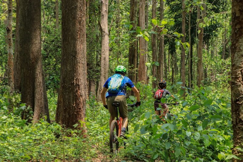 Chiang Mai Sticky Waterfalls Bike Tour by Trailhead - Bua Tong’s Sticky Waterfalls reward the effort