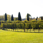 Chianti Half Day Wine tour from Florence - The route from Florence to the vineyards