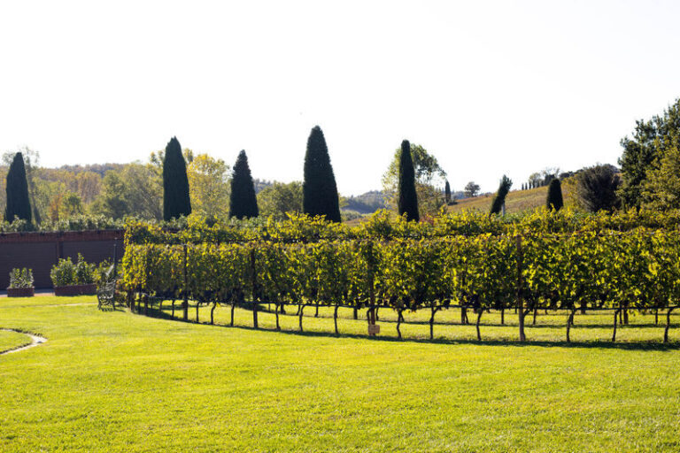 Chianti Half Day Wine tour from Florence - The route from Florence to the vineyards