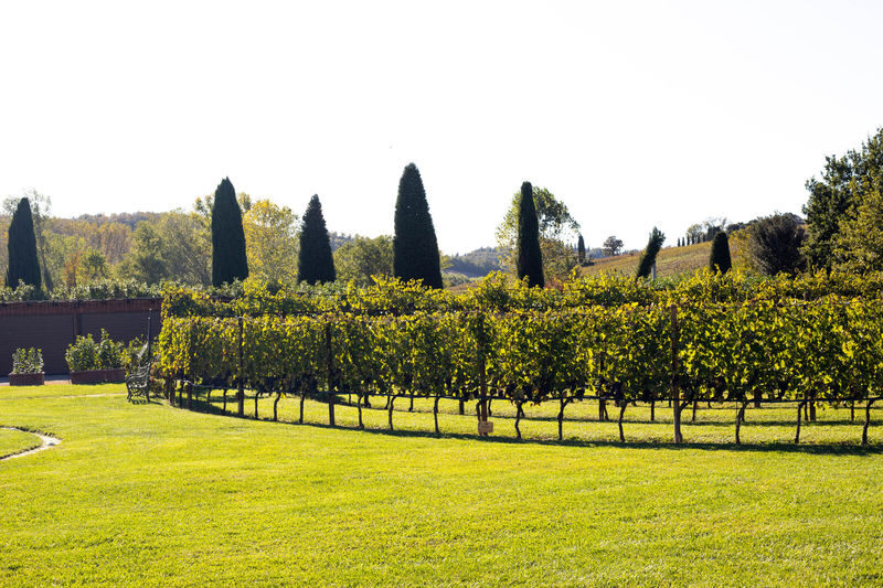 Chianti Half Day Wine tour from Florence - The route from Florence to the vineyards