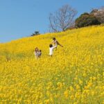 Chiba Mother Farm Ticket Tokyo - Animal encounters are the main event