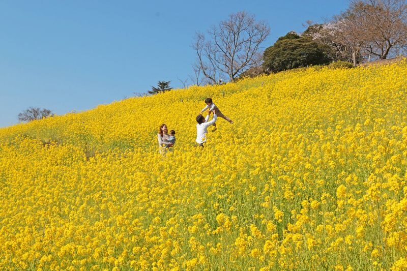 Chiba Mother Farm Ticket Tokyo - Animal encounters are the main event