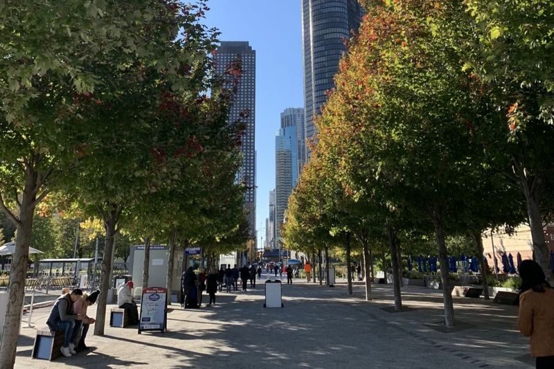 Chicago Millennium Park Full-Day City Highlights Tour - What the named landmarks add
