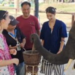 Chokchai Elephant Sanctuary Experience Chiang Mai - Lunch, then your choice of adventure