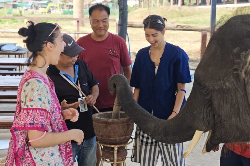 Chokchai Elephant Sanctuary Experience Chiang Mai - Lunch, then your choice of adventure
