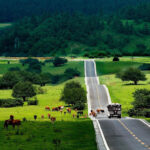 Chongqing Karst 2-Day Tour + Three Natural Bridges + Fairy Mountain + Furong Cave - Three Natural Bridges: the grandest stop