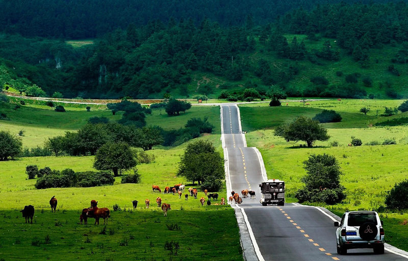 Chongqing Karst 2-Day Tour + Three Natural Bridges + Fairy Mountain + Furong Cave - Three Natural Bridges: the grandest stop