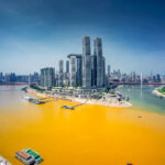 Chongqing Two Rivers Tour - Choosing between a daytime ride and an evening cruise