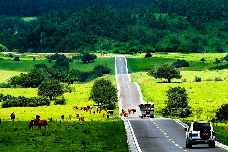 Chongqing Wulong +Fairy Mountain+Longshui Gorge Day Tour - Day one: under the Three Natural Bridges