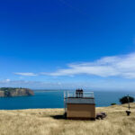 Christchurch Godley Head Loop Trail Full-Day Small Group Walking Tour - Godley Head: the main event