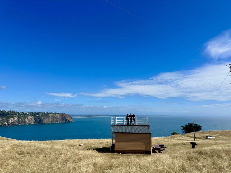 Christchurch Godley Head Loop Trail Full-Day Small Group Walking Tour - Godley Head: the main event