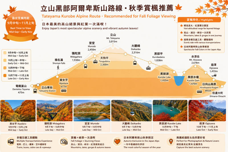 Classic 3-Day Tateyama Kurobe Tour: Tateyama Kurobe & Kamikochi & Shirakawa-go Gassho-zukuri Village & Magome-juku and Tsumago-juku & Daio Wasabi Farm (Departure from Nagoya, Includes Admission Tickets & Accommodation & Tour Leader) - Day one: Gujo Hachiman and Shirakawa-go
