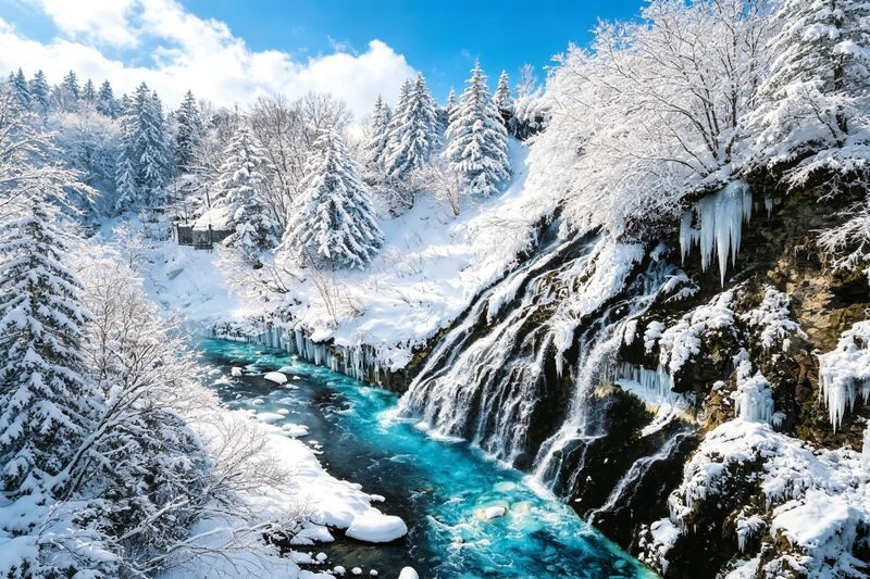 Classic Hokkaido One-Day Tour: Asahiyama Zoo & Ken & Mary Tree & Shirahige Waterfall & Biei Shirogane Blue Pond & Ningle Terrace - The Ken and Mary Tree is a view from the road