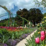Claude Monets Home and Gardens Guided Tour - At Giverny, start with the garden that inspired Monet