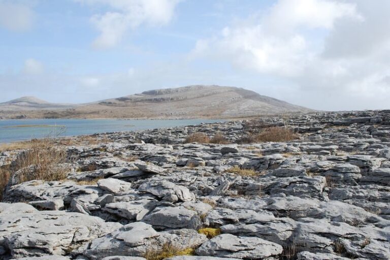 Cliffs of Moher, Burren & Galway Tour - Two hours above the Atlantic at the Cliffs of Moher