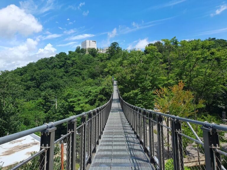 Closest Observatory to DMZ: North Korea View (Starbucks Tour) - A hill shaped by war and separation