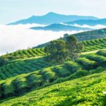 Cloud Hunting and The Glow of Dawn Tour in Da Lat - Before dawn: pickup and the road to Cau Dat