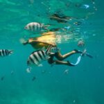 Club Med Kani Resort All Inclusive Pass - From Malé airport to the Kani jetty