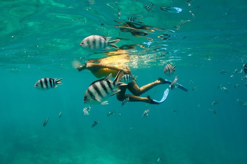 Club Med Kani Resort All Inclusive Pass - From Malé airport to the Kani jetty