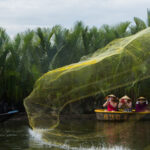 Coconut Forest with Dinner & Hoi An Memories Show Ticket - Starting with pickup in central Hoi An