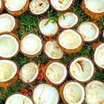 Coconut Oil Making And Traditional Salt Farm Experience in East Bali - Kusamba’s salt farm: valuable, but keep expectations modest