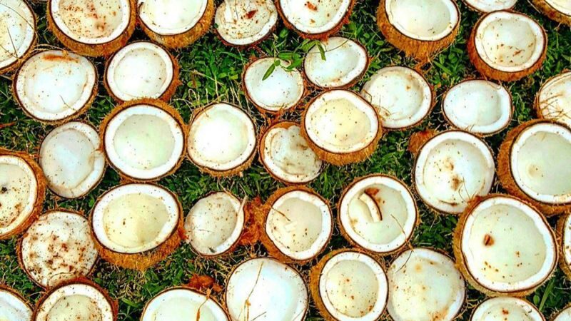 Coconut Oil Making And Traditional Salt Farm Experience in East Bali - Kusamba’s salt farm: valuable, but keep expectations modest
