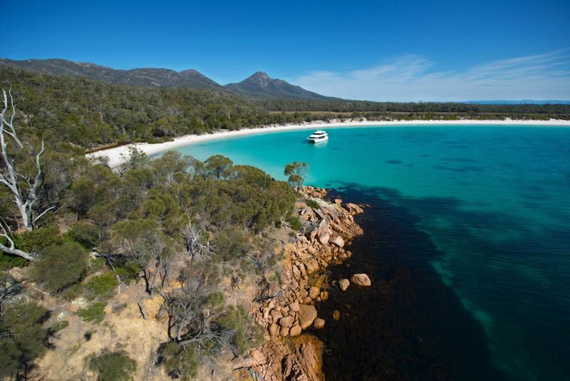 Coles Bay to Wineglass Bay Sightseeing Cruise - Wildlife watching along the peninsula