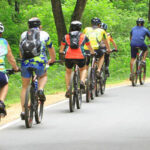 Colombo Cycling Tour - Fort’s colonial facades, seen from the saddle
