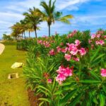 Colombo Half-Day Private Guided Tour - What the private format changes